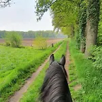Luxe Gastenkamer Met Living En Keuken Bij Friezen Paarden Stal Pellendijk בית כפרי *