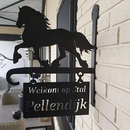 Luxe Gastenkamer Met Living En Keuken Bij Friezen Paarden Stal Pellendijk * Westendorp