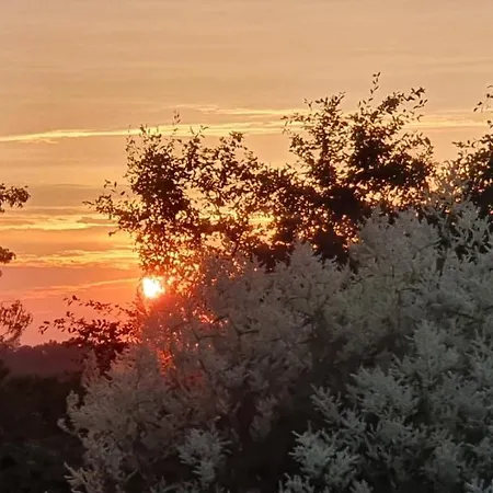 Luxe Gastenkamer Met Living En Keuken Bij Friezen Paarden Stal Pellendijk Westendorp