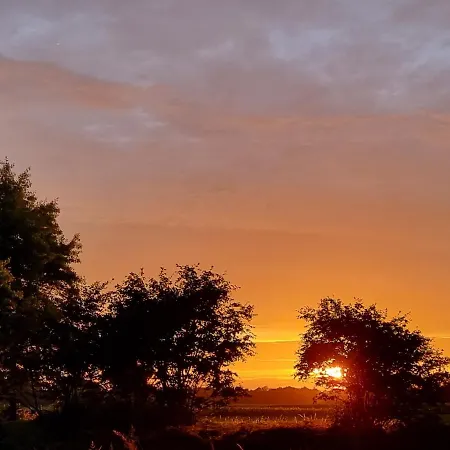 Luxe Gastenkamer Met Living En Keuken Bij Friezen Paarden Stal Pellendijk * Westendorp
