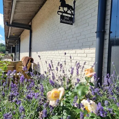 Luxe Gastenkamer Met Living En Keuken Bij Friezen Paarden Stal Pellendijk Landhuis *