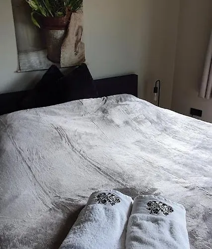 Luxe Gastenkamer Met Living En Keuken Bij Friezen Paarden Stal Pellendijk