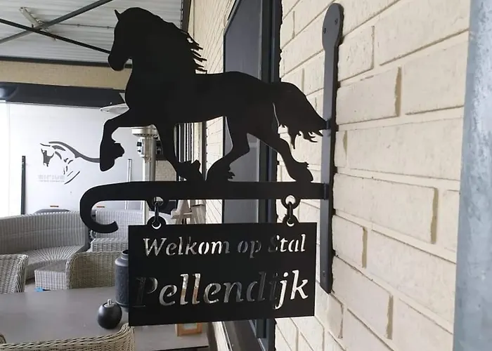 Luxe Gastenkamer Met Living En Keuken Bij Friezen Paarden Stal Pellendijk * Westendorp