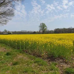 Luxe Gastenkamer Met Living En Keuken Bij Friezen Paarden Stal Pellendijk Country house Westendorp