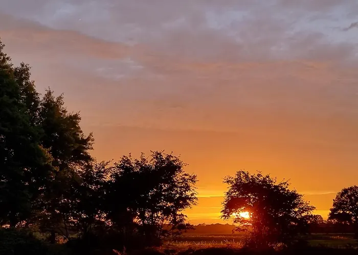 Luxe Gastenkamer Met Living En Keuken Bij Friezen Paarden Stal Pellendijk * Westendorp