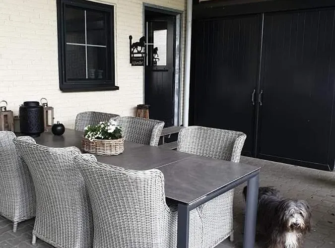 Luxe Gastenkamer Met Living En Keuken Bij Friezen Paarden Stal Pellendijk Westendorp