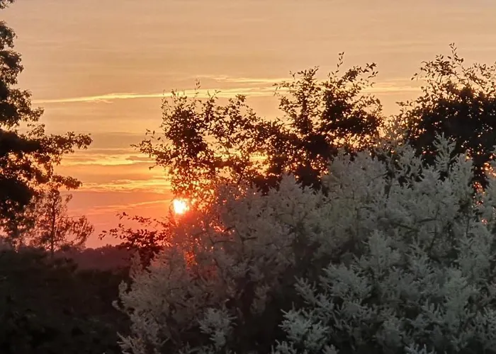 Luxe Gastenkamer Met Living En Keuken Bij Friezen Paarden Stal Pellendijk Westendorp