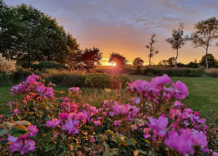 Luxe Gastenkamer Met Living En Keuken Bij Friezen Paarden Stal Pellendijk Landhuis *